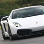 Lamborghini Lovers Driving Experience - White Lamborghini