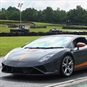 Lamborghini Lovers Driving Experience - Black Lamborghini
