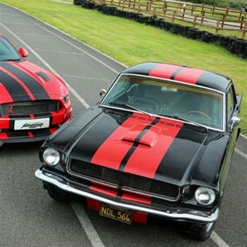 Mustang Enthusiast Experience - Modern & Classic Mustangs Mustang Enthusiast Experience - Modern & Classic Mustangs