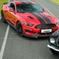 Mustang Enthusiast Experience - Drive a Mustang
