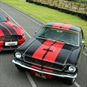 Mustang Enthusiast Experience - Modern & Classic Mustangs