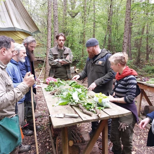 Autumn Wild Foraging Course East Sussex - Group Foraging Workshop Autumn Wild Foraging Course East Sussex - Group Foraging Workshop