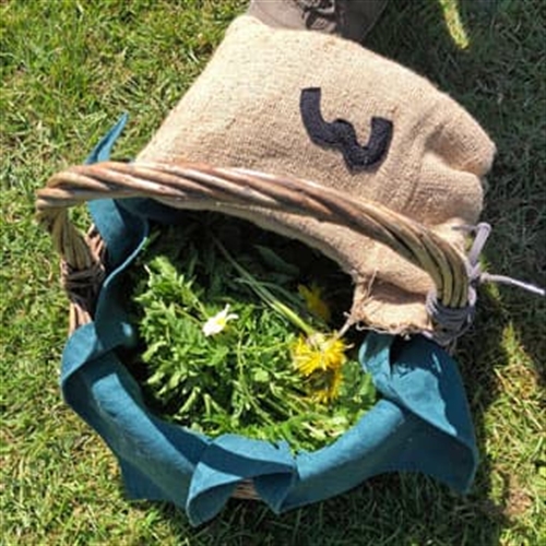 Seasonal Foraging Course Surrey-Foraging Basket