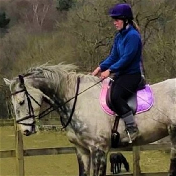 Private Horse Riding Lessons in Perthshire Into The Blue