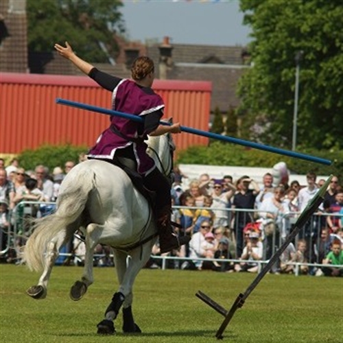 Jousting Jousting