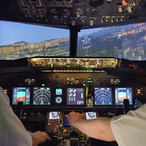 737-800 Jet Airliner Flight Simulator 737-800 Jet Airliner Flight Simulator