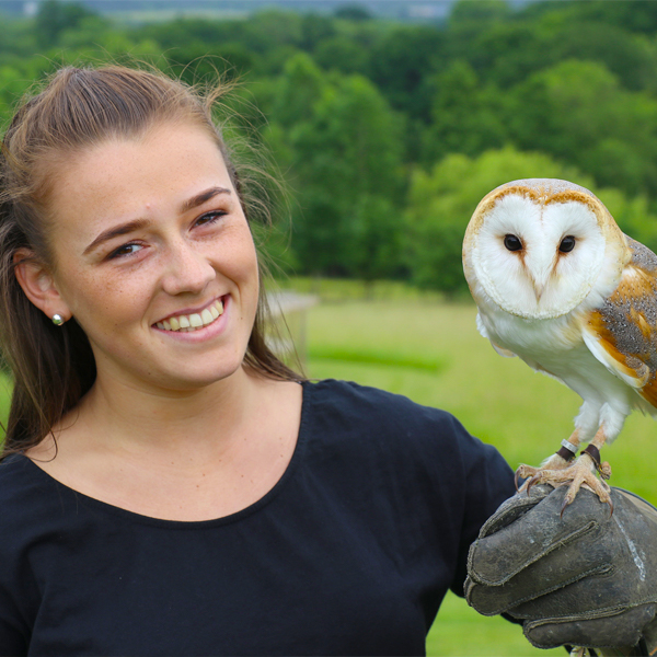 Falconry Tunbridge Wells