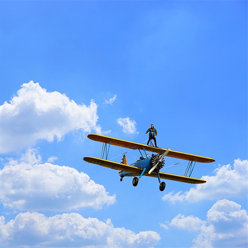 wing walk essex wing walk essex
