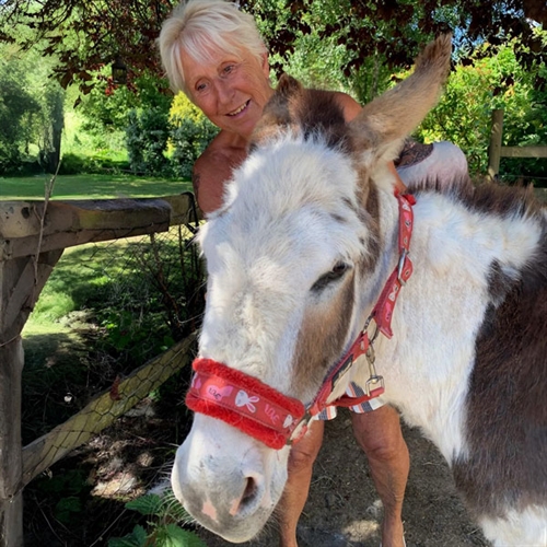 Animal Lovers Experience Norfolk for Two Animal Lovers Experience Norfolk for Two