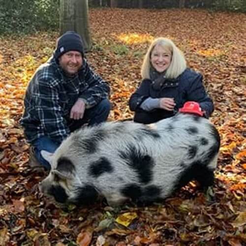 Pig Experience in Norfolk for Two Pig Experience in Norfolk for Two