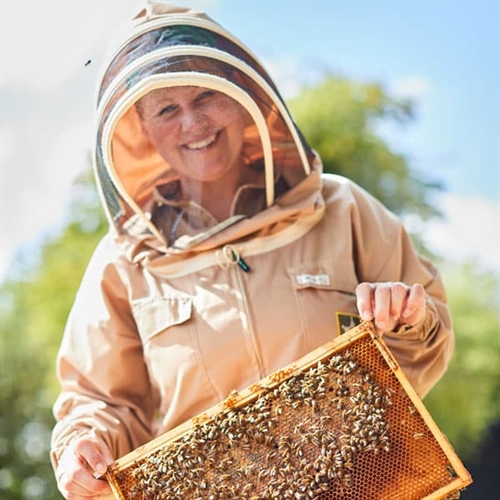 Beekeeping Suffolk/Norfolk Border - Woman Holding Bees Beekeeping Suffolk/Norfolk Border - Woman Holding Bees