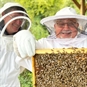 Beekeeping Suffolk/Norfolk Border - Two Men Beekeeping