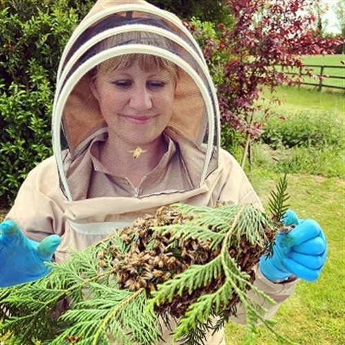 beekeeper beekeeper