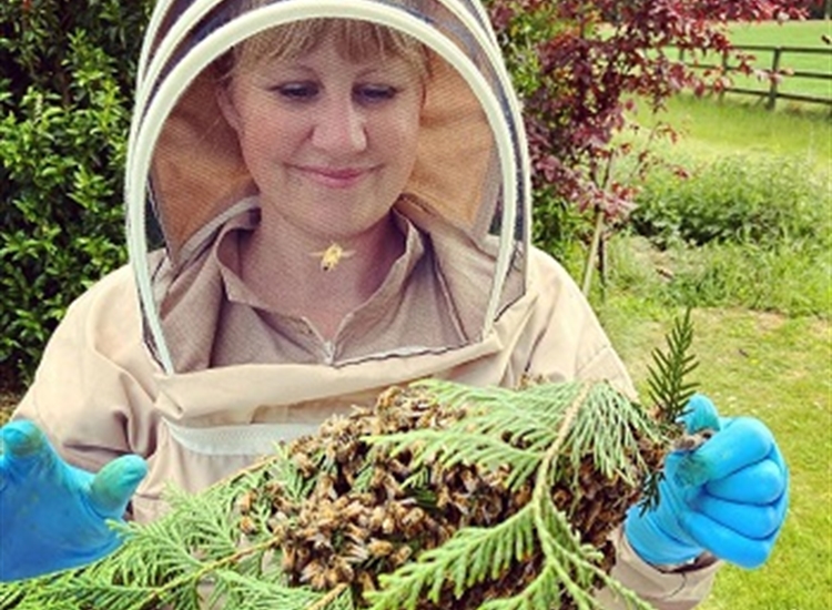 beekeeping suffolk beekeeping suffolk