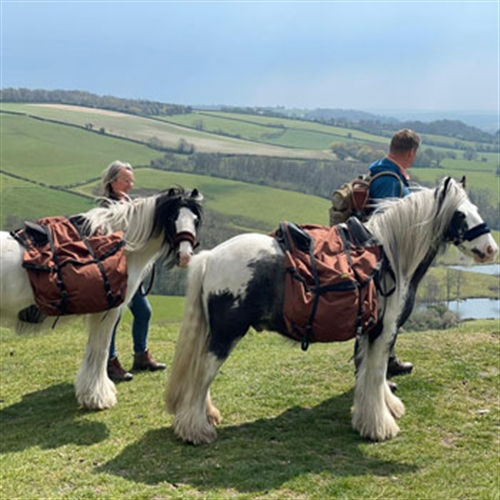 pony trek pony trek