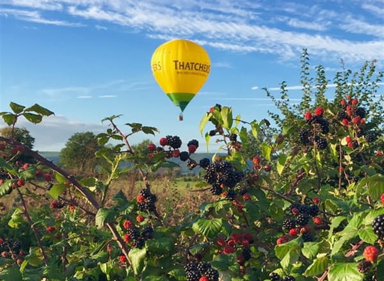 Ballooning in Bristol
