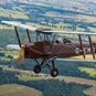 Tiger Moth Flights Northumberland - Tiger moth flying in the air