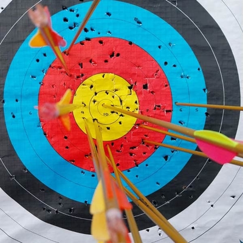 Target Archery Bristol Target Archery Board Target Archery Bristol Target Archery Board