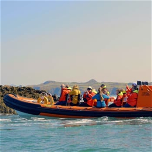 Pemrokeshire Boat Trips - Ramsey Island Boat Tour