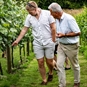 Wellhayes Vineyard Tour for Two with Cream Tea - Touring the Vineyard