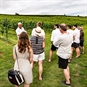 Wellhayes Vineyard Tour in Devon with Cream Tea