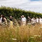 Wellhayes Vineyard Tour for Two with Cream Tea - Vineyard Tour