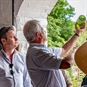 Wellhayes Vineyard Tour for Two with Cream Tea - Vineyard Tour