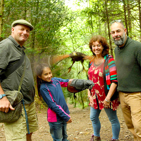 Falconry in Devon