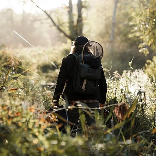Exclusive Fly Fishing in Hampshire in the Meon Valley