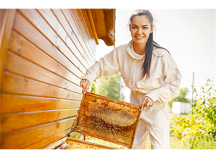 beekeeping