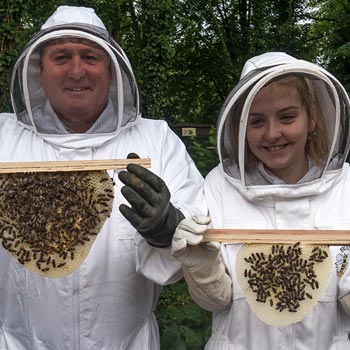 Bee Experience Lancashire