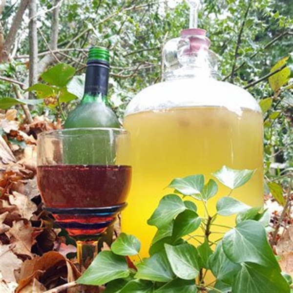 Mead Wine Making Courses In East Sussex Into The Blue