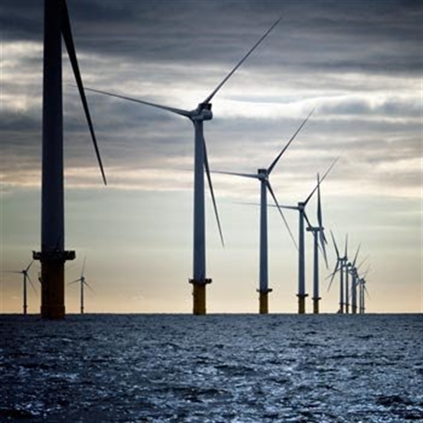 boat trips to wind farm off brighton