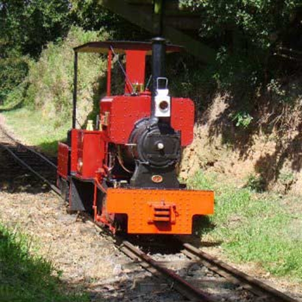 Sherwood Forest train 