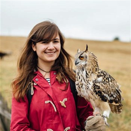 Falconry Experiences near the Shibden Estate in Halifax, West Yorskhire