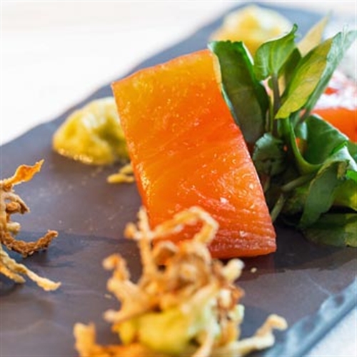 bateaux salmon starter bateaux salmon starter