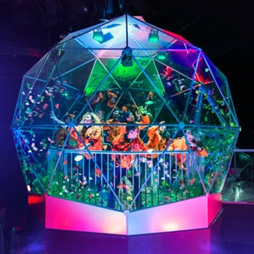 dome dome
