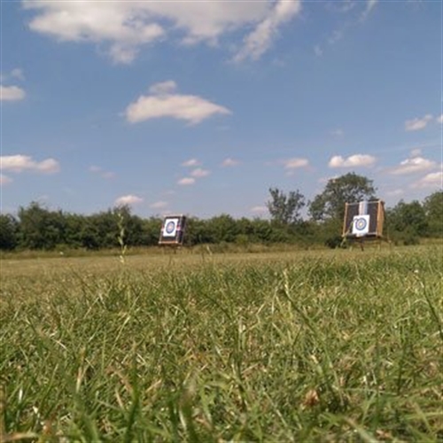 targets in grass targets in grass