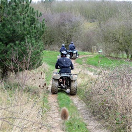 rear view of quads rear view of quads