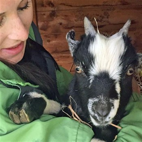 girl with goat girl with goat