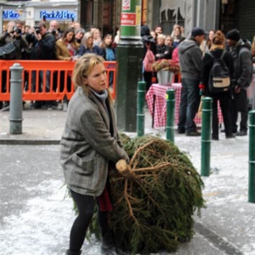 Bridget Jones Christmas tree Bridget Jones Christmas tree