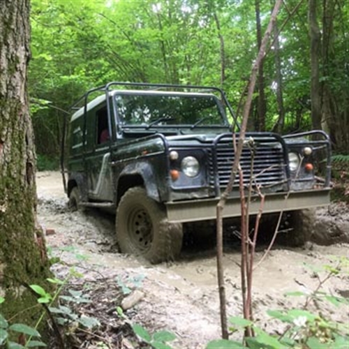 defender in jungle defender in jungle