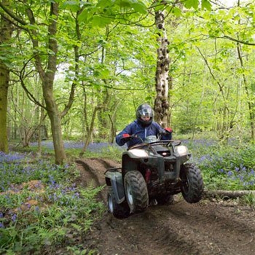 quads bluebells quads bluebells