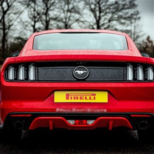 mustang rear view mustang rear view