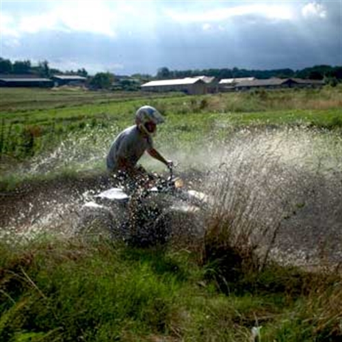 quad biking through wookland quad biking through wookland
