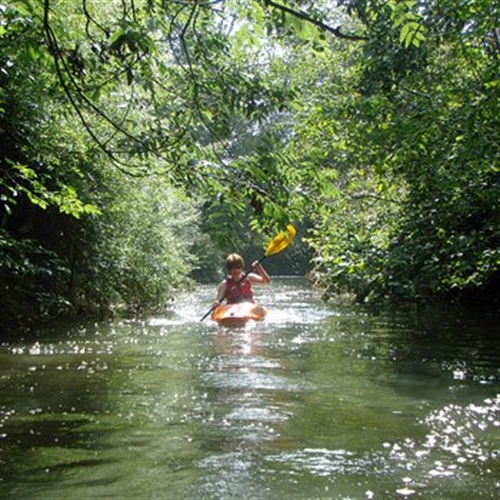kayaking x2 sunny kayaking x2 sunny