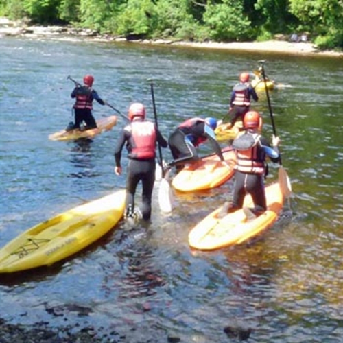 Stand Up Paddleboarding Lessons Near You Into The Blue