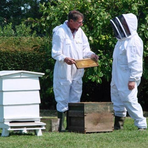 Bee Keeping Bee Keeping