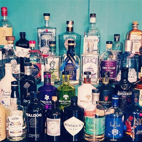 gin selection gin selection