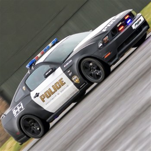mustang angle mustang angle